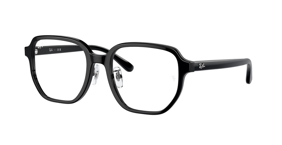 Оправа для очков Ray-Ban CORE RB 5424D 2000 54