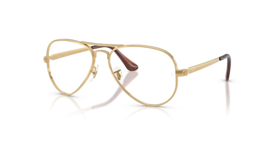 Оправа для очков Ray-Ban  RB 3925V 2500 58