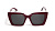 Muse_bordo_2.jpg