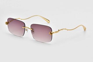 FAS Rose Garden CHAMPAGNE SF031CH 60
