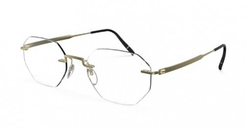 Оправа для очков Silhouette Silhouette 5586_PA 8540 49