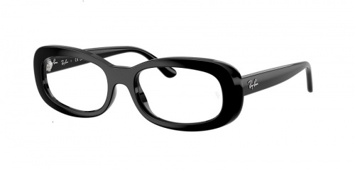 Оправа для очков Ray-Ban EVOLUTION RB 2221V 2000 53