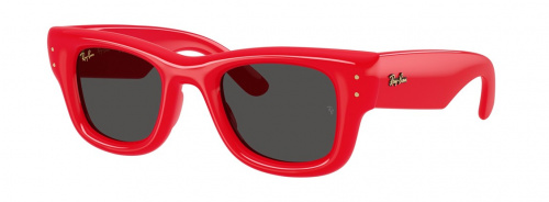 Солнцезащитные очки Ray-Ban A$AP Rocky x Ray-Ban RB 4940 6831/87 50