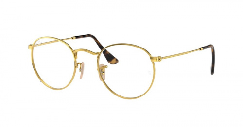 Оправа для очков Ray-Ban  RB 3447V 2500 53