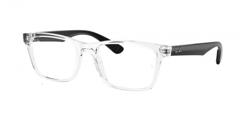 Оправа для очков Ray-Ban  RB 7025 5943 55