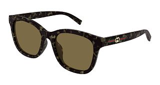 GG 1984SK 003 55