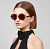 FAS Haze Tortoise SF035TT 61.jpg