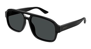 GG 1342S 001 59