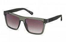 GUS 00166 96P 55