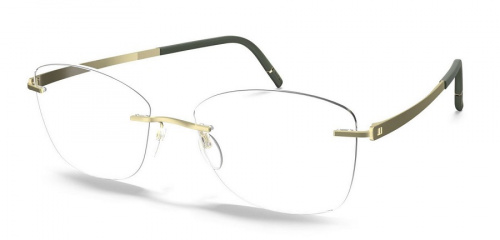 Оправа для очков Silhouette Silhouette 5529_AW 5640 55