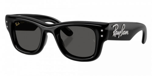 Солнцезащитные очки Ray-Ban A$AP Rocky x Ray-Ban RB 4940B 6864/87 47